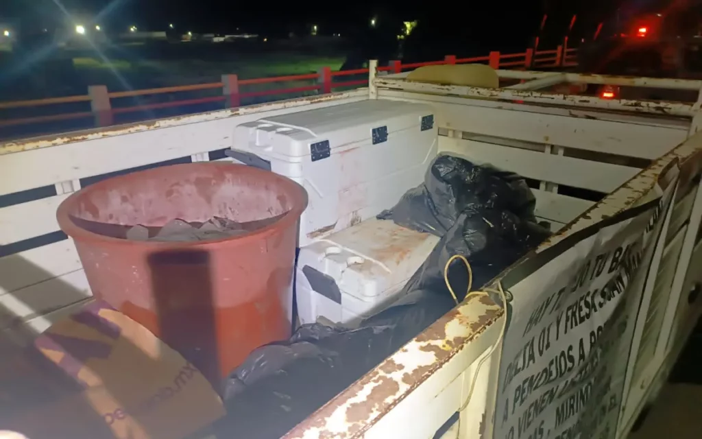 Encuentran 15 cuerpos en camionetas abandonadas en Tuxpan, Veracruz