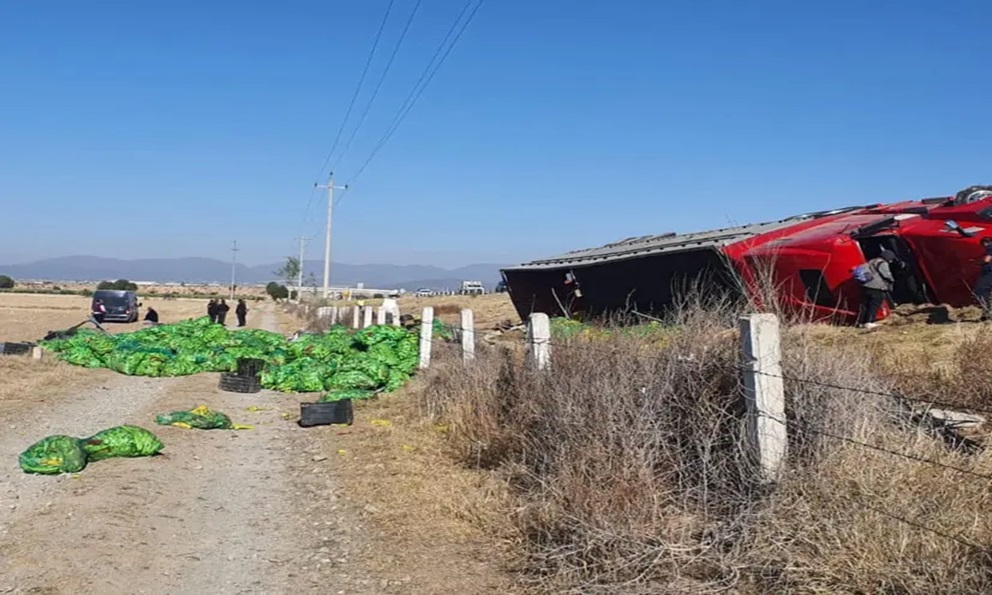 En Hidalgo rapiñan chiles contaminados de tráiler volcado