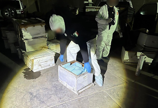 Hallan droga en cajas de abejas en Sinaloa