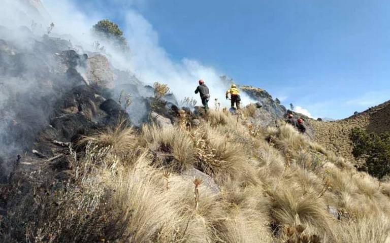 Se incendian 260 hectáreas del Parque Nacional Izta-Popo
