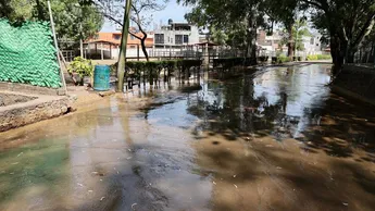 Dan agua contaminada a animales del zoológico de Morelia