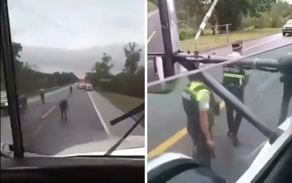 Guardia Nacional se enfrenta contra hombres armados en la autopista México-Tuxpan