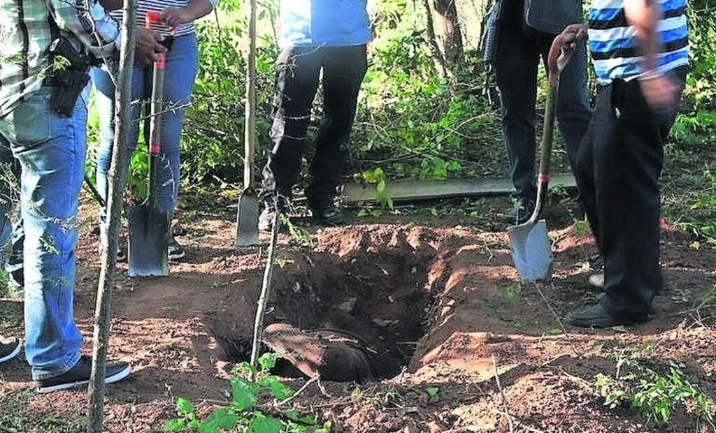 Hallan cinco fosas clandestinas en límites de Veracruz