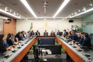 Partidos locales del país alzan la voz en el Senado; exigen representatividad real