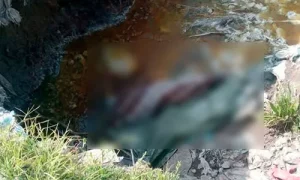 Localizan sin vida a madre y sus dos hijas en límites de Tlaxcala y Puebla; habían sido secuestradas