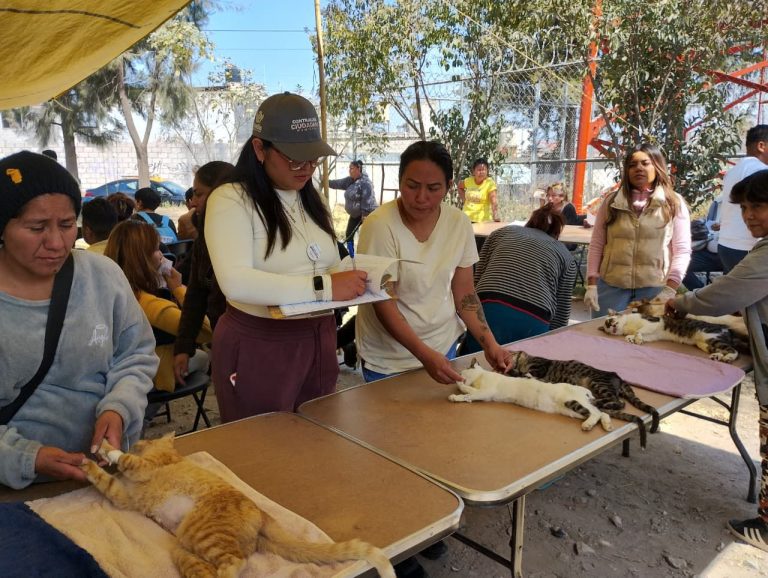 Fortalece Gobierno de Pepe Chedraui la mejora de servicios mediante verificaciones ciudadanas