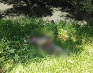 En territorio poblano y los límites con Tlaxcala localizan a hombre y mujer emplayados, así como encobijados en el río Atoyac