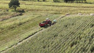 Más apoyo al campo en Apizaco, 323 productores han sido beneficiados