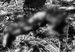 Localizan a hombre sin vida y con golpes en la cabeza en terrenos de labor de Atltzayanca