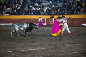Apizaco vive una noche taurina con el tercer cartel de la Copa Pana