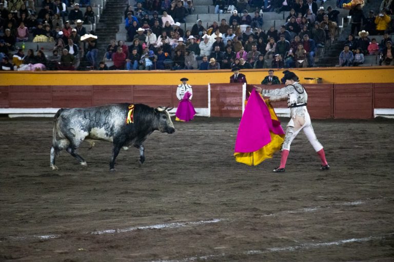 Apizaco vive una noche taurina con el tercer cartel de la Copa Pana